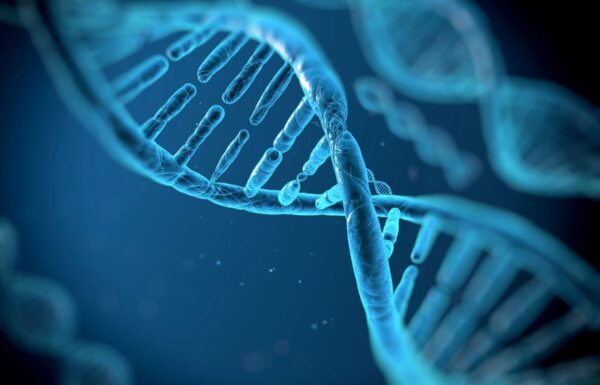 3d rendered illustration of DNA